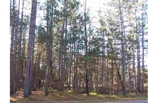 LOT 204 Raven Drive, New Lisbon, WI 53950