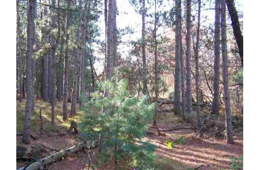 LOT 204 Raven Drive, New Lisbon, WI 53950