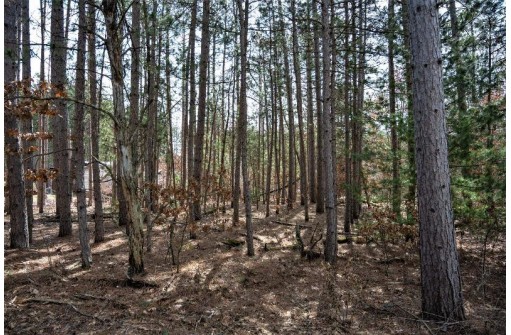 LOT 204 Raven Drive, New Lisbon, WI 53950