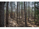 LOT 204 Raven Drive, New Lisbon, WI 53950