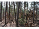 LOT 204 Raven Drive, New Lisbon, WI 53950