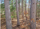 LOT 204 Raven Drive, New Lisbon, WI 53950