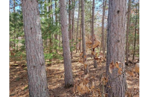 LOT 204 Raven Drive, New Lisbon, WI 53950