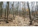 40 ACRES County Road D, Rock Springs, WI 53961