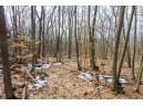 40 ACRES County Road D, Rock Springs, WI 53961