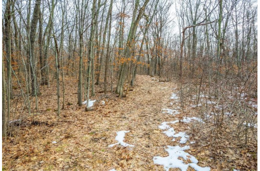 40 ACRES County Road D, Rock Springs, WI 53961