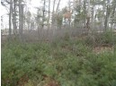 LOT 61 Fly Rod Trail, Wisconsin Rapids, WI 54494