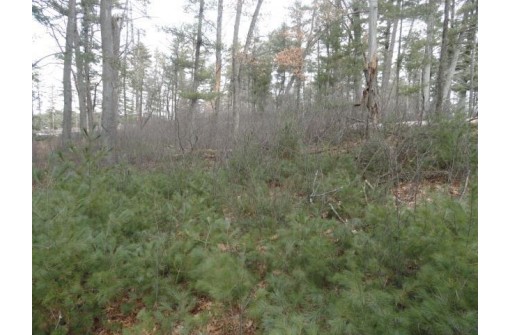 LOT 61 Fly Rod Trail, Wisconsin Rapids, WI 54494