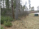 LOT 61 Fly Rod Trail, Wisconsin Rapids, WI 54494