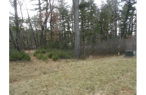 LOT 61 Fly Rod Trail, Wisconsin Rapids, WI 54494