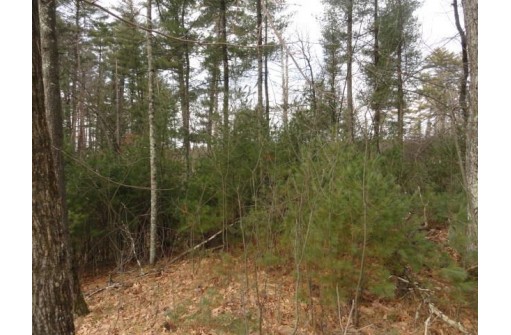 LOT 61 Fly Rod Trail, Wisconsin Rapids, WI 54494