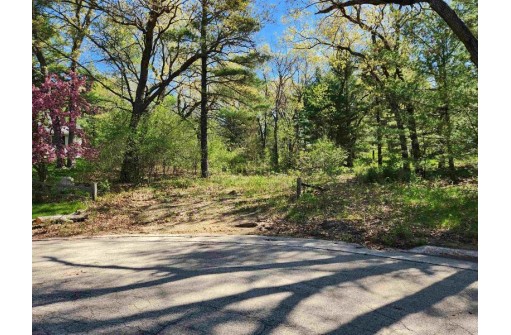 LOT 140 Crest Court, Wisconsin Dells, WI 53965