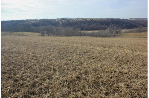 46.38AC Roddick Lane, Platteville, WI 53818