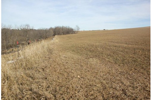 46.38AC Roddick Lane, Platteville, WI 53818