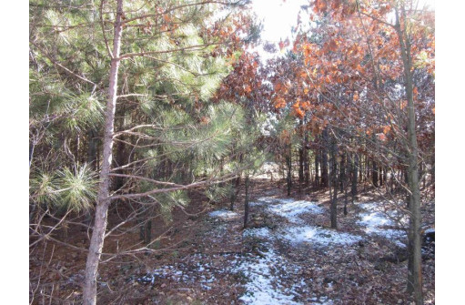 10 AC Evergreen Court, Adams, WI 53910