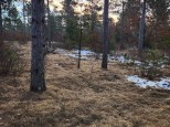 LOT 1 Tower Road Wisconsin Rapids, WI 54494