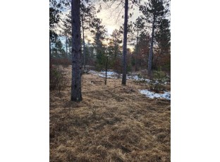 LOT 1 Tower Road Wisconsin Rapids, WI 54494