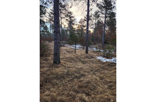 LOT 1 Tower Road, Wisconsin Rapids, WI 54494