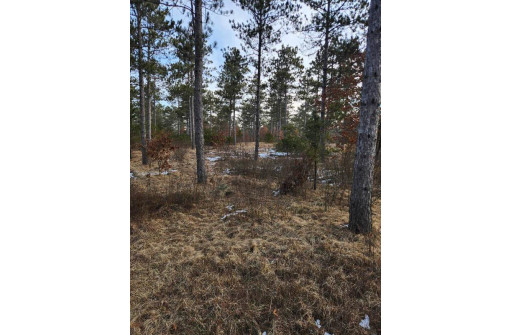 LOT 1 Tower Road, Wisconsin Rapids, WI 54494