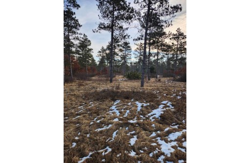 LOT 1 Tower Road, Wisconsin Rapids, WI 54494