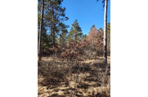 LOT 2 Tower Road, Wisconsin Rapids, WI 54495