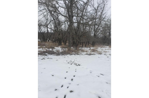 LOT 1 Highway 33/80/82, Hillsboro, WI 54634