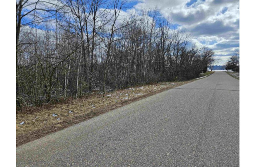 LOT 17 Weynand Road, Merrimac, WI 53561