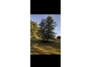 LOT 20 Walnut Bluff Road, Bloomington, WI 53804