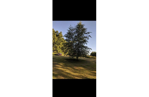 LOT 20 Walnut Bluff Road, Bloomington, WI 53804