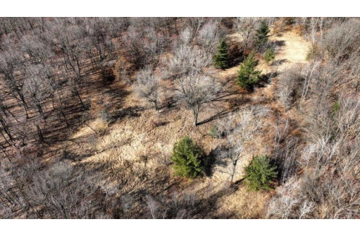 162+/- ACRES Germantown Road, New Lisbon, WI 53950