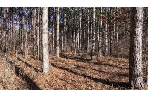 162+/- ACRES Germantown Road, New Lisbon, WI 53950