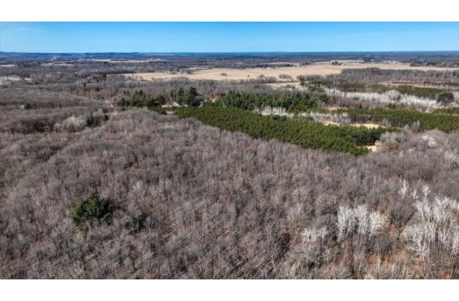 162+/- ACRES Germantown Road, New Lisbon, WI 53950