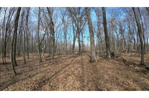 162+/- ACRES Germantown Road, New Lisbon, WI 53950