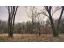 162+/- ACRES Germantown Road, New Lisbon, WI 53950