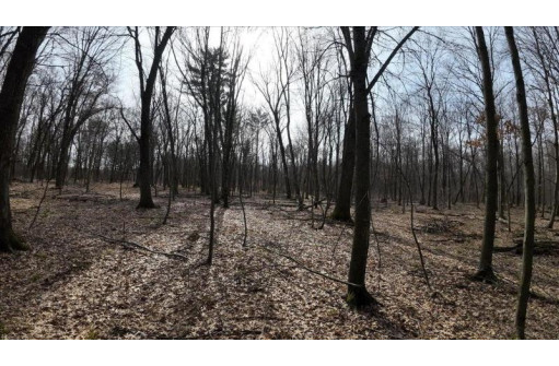 162+/- ACRES Germantown Road, New Lisbon, WI 53950