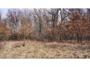 162+/- ACRES Germantown Road, New Lisbon, WI 53950