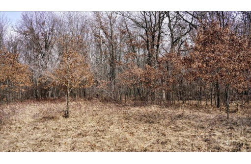 162+/- ACRES Germantown Road, New Lisbon, WI 53950