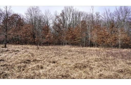 162+/- ACRES Germantown Road, New Lisbon, WI 53950