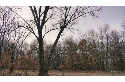 162+/- ACRES Germantown Road, New Lisbon, WI 53950