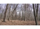 162+/- ACRES Germantown Road, New Lisbon, WI 53950