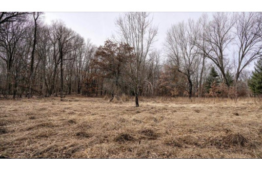 162+/- ACRES Germantown Road, New Lisbon, WI 53950