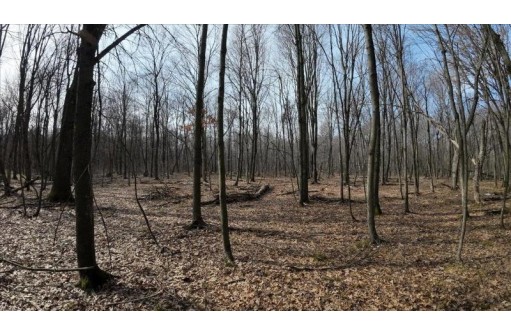 162+/- ACRES Germantown Road, New Lisbon, WI 53950