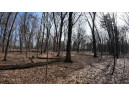 162+/- ACRES Germantown Road, New Lisbon, WI 53950