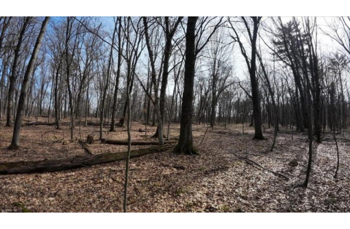 162+/- ACRES Germantown Road, New Lisbon, WI 53950