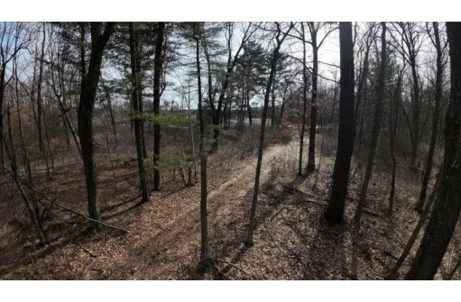 162+/- ACRES Germantown Road, New Lisbon, WI 53950