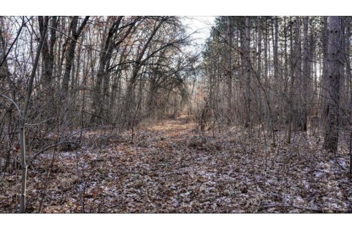 162+/- ACRES Germantown Road, New Lisbon, WI 53950