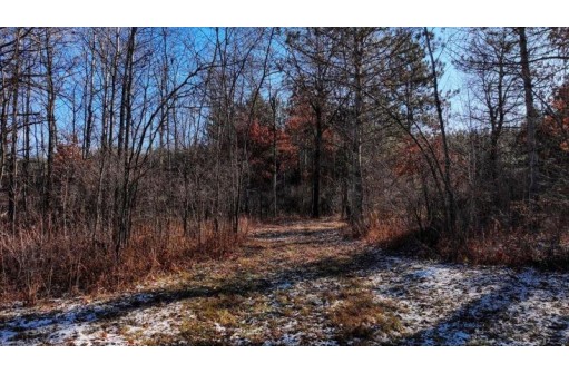 162+/- ACRES Germantown Road, New Lisbon, WI 53950