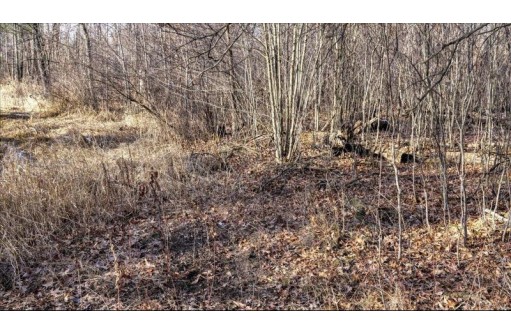 162+/- ACRES Germantown Road, New Lisbon, WI 53950