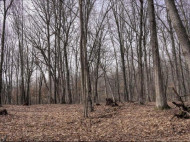 162+/- ACRES Germantown Road