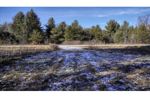 162+/- ACRES Germantown Road, New Lisbon, WI 53950